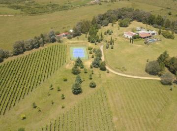 Campo · 180000ha · 5 Ambientes · 2 Cocheras · Chacra en Pueblo Eden