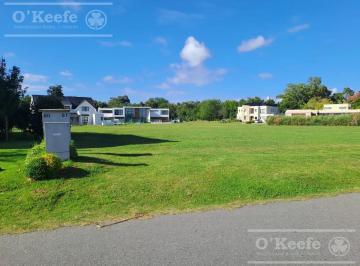 Terreno · 825m² · Terreno en Venta Greenville Polo