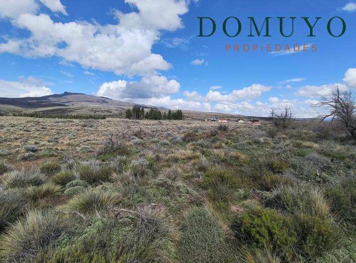 Terreno · 5000m²