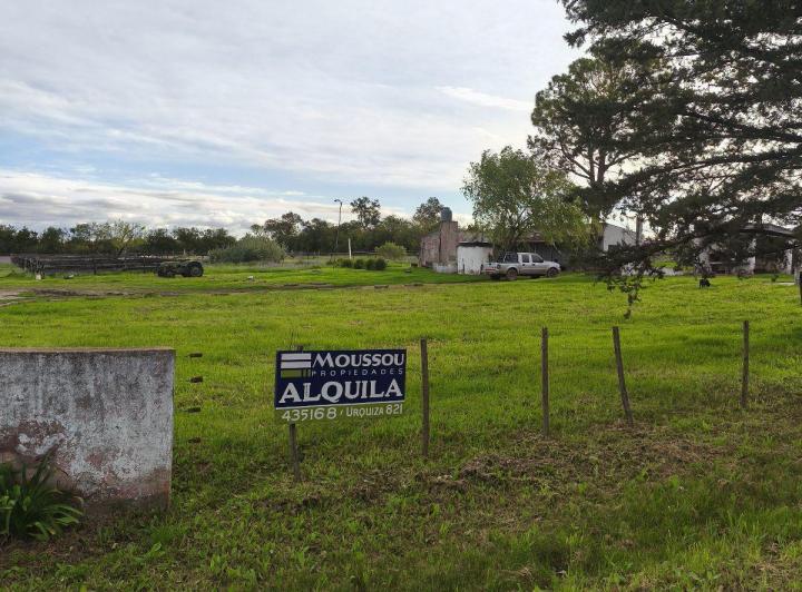 Campo · 40000ha · 3 Ambientes