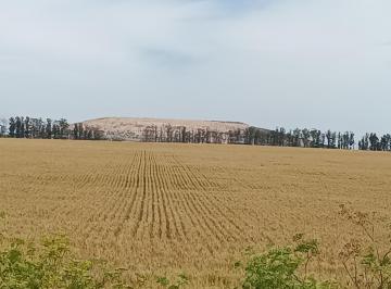 Campo · 49ha · Campo de 49 Has en Venta en Camino Viejo a Miramar