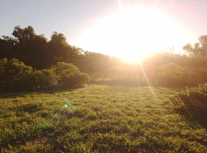 Terreno · 269m²