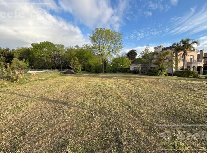 Terreno · 1200m²