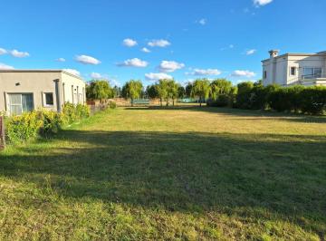 Terreno · 1000m² · Venta Lote 80 Barrio Los Ceibos Haras del Sur III