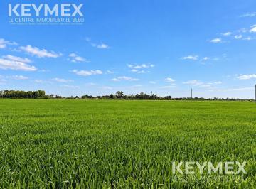 Terreno · 1920000m² · Terreno en Virrey del Pino