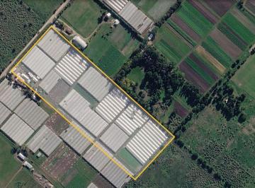 Campo · 450000m² · Campo en Venta - - m - La Plata