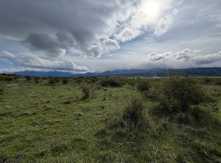Terreno · 5ha