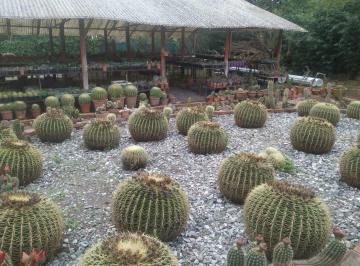 Casa de 4 ambientes, Mendiolaza · Vendo Casa + Vivero de Cactus