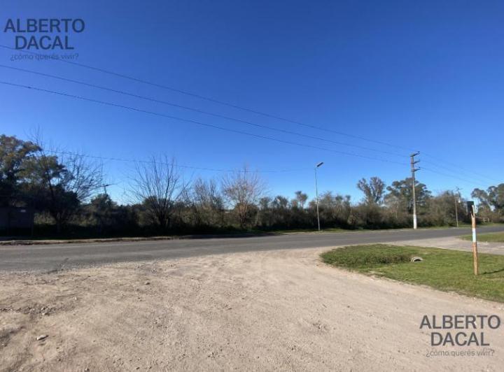 Terreno · 10020m²