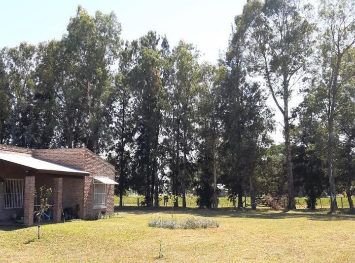 Terreno · 562m²