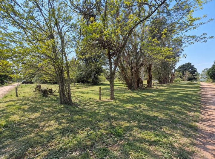 Terreno · 1895m²