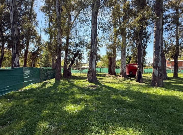 Terreno · 350m²