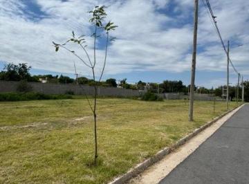 Terreno · 300m² · Lotes / Terrenos en Venta