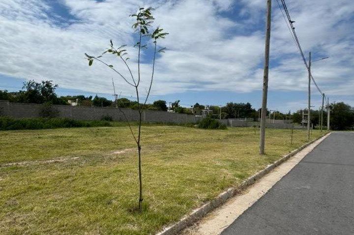 Terreno · 300m²