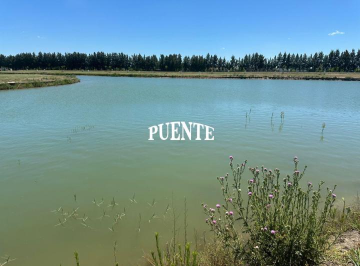 Terreno · 744m²