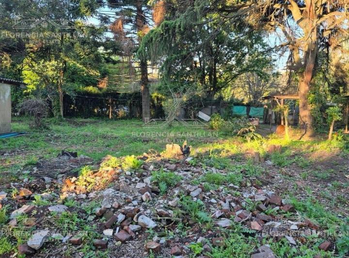 Terreno · 2504m²
