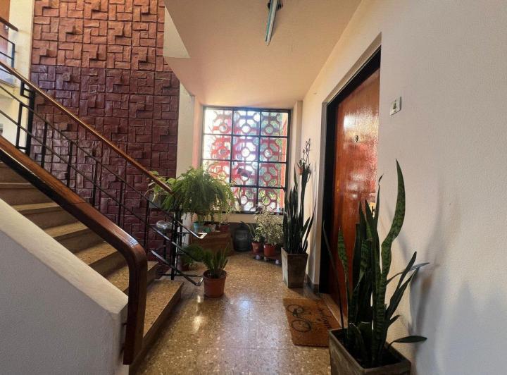 Departamento · 55m² · 3 Ambientes