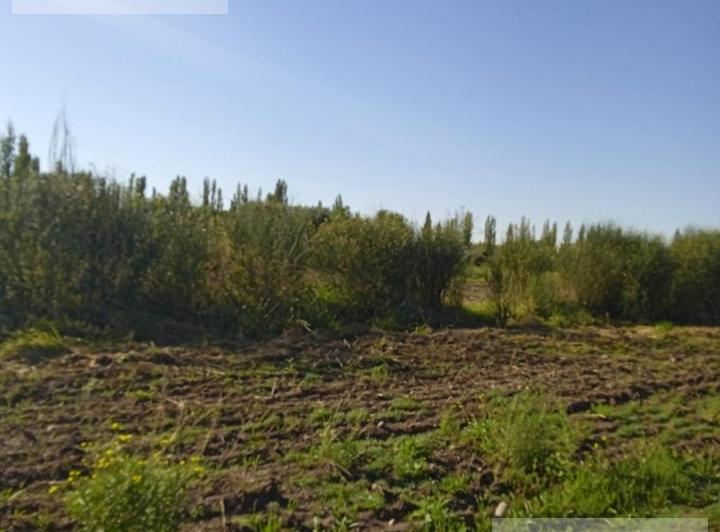 Terreno · 2600m²
