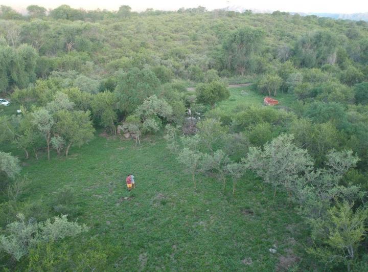 Terreno · 2664m²
