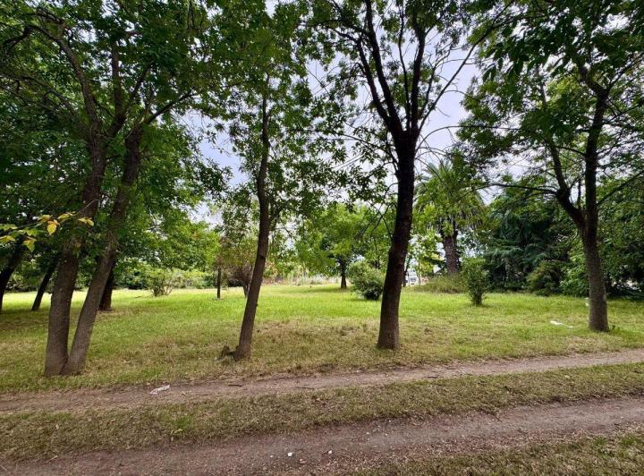 Terreno · 3125m²