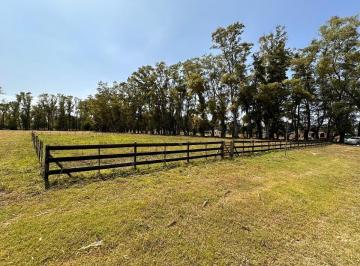 Terreno · 1000m² · Venta Lote Chacras San Andrés Villa Ruiz San Andrés de Giles General Rodriguez