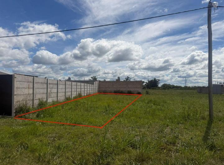 Terreno · 321m²