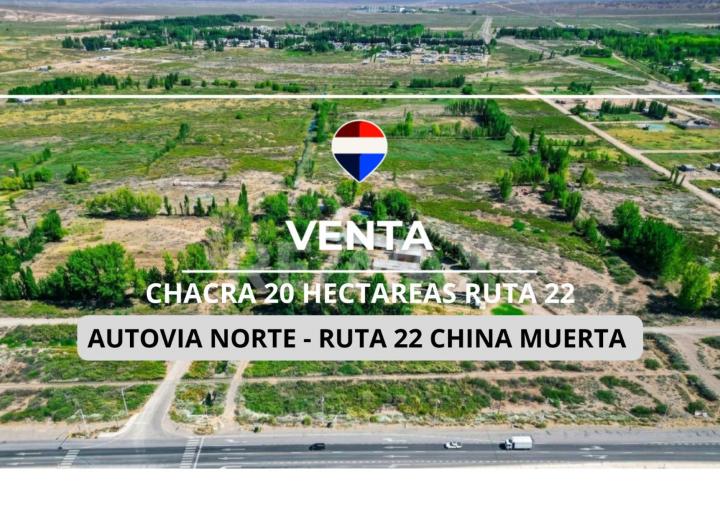 Campo · 20ha