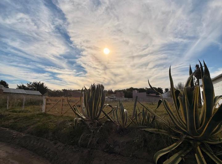 Terreno · 724m²