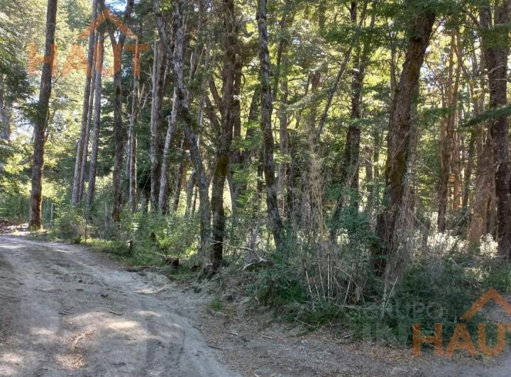 Campo · 8000m²