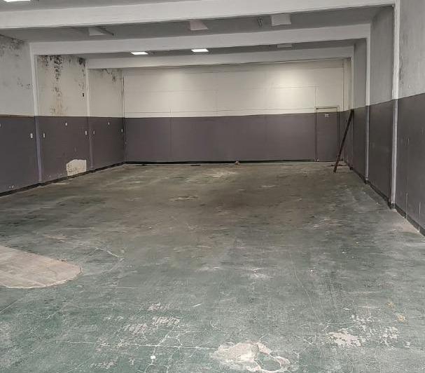 Bodega-Galpón · 250m² · 1 Ambiente