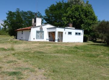 Campo · 4 Dormitorios · Finca en Tunuyan