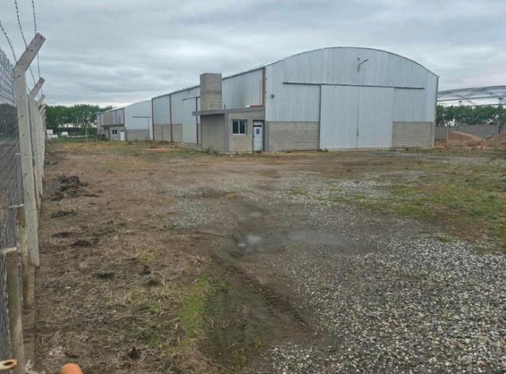 Bodega-Galpón · 1000m² · 2 Ambientes