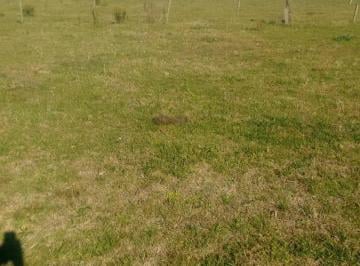 Terreno · 30000m² · Terreno en Venta - 3 Hectáreas - Alegre