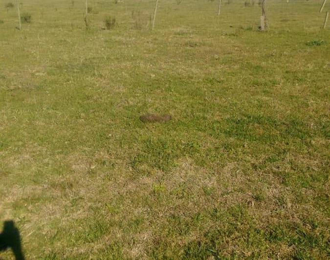 Terreno · 30000m²