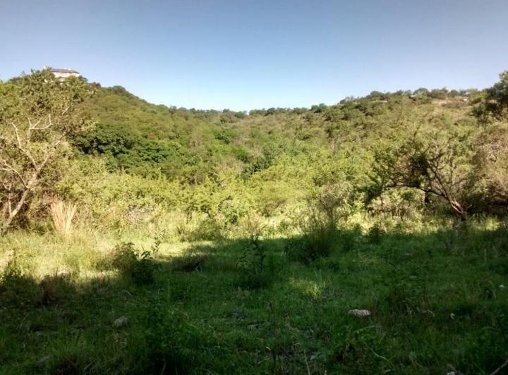 Terreno · 13000m²