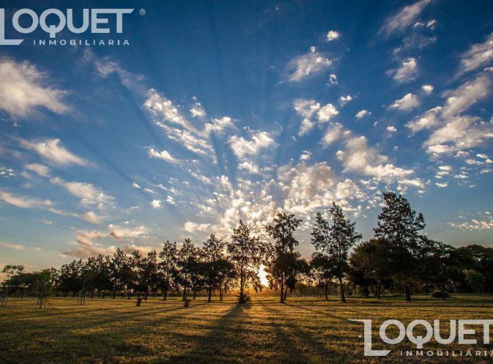Terreno · 900m²