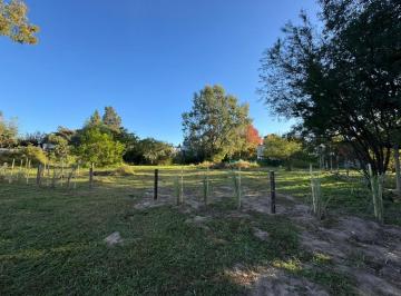 Terreno · 440m² · Venta Lote Forestado en Colastiné