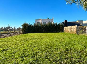Terreno · 473m² · Lote en Santa Emilia, Pilar del Este