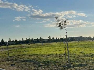 Terreno , Ezeiza · Lote Interno San Roque Canning