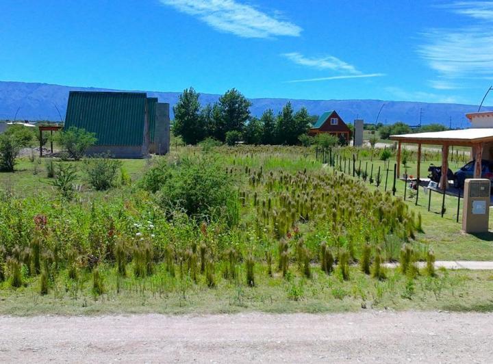 Terreno · 500m²