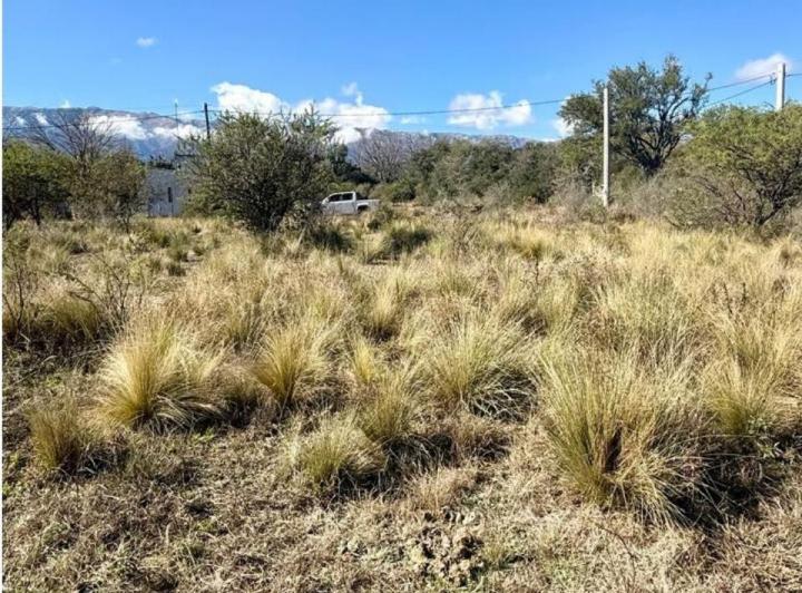 Terreno · 1542m²
