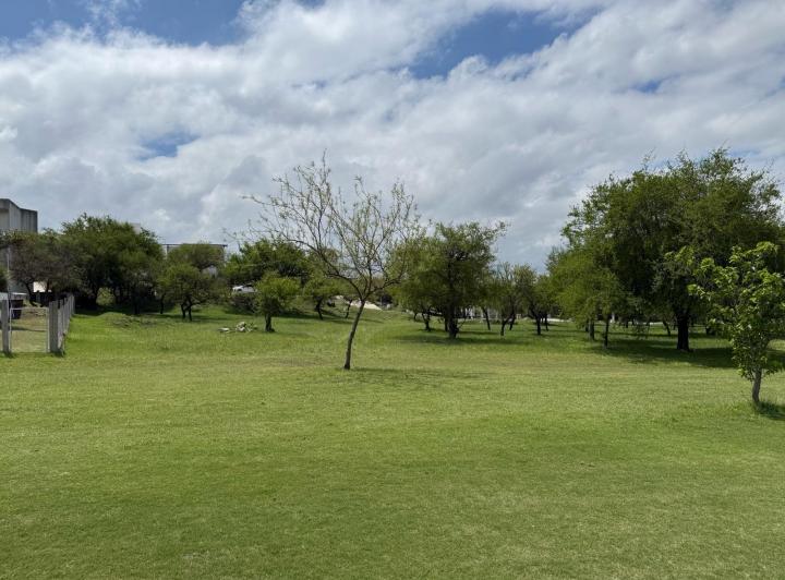 Terreno · 1056m²
