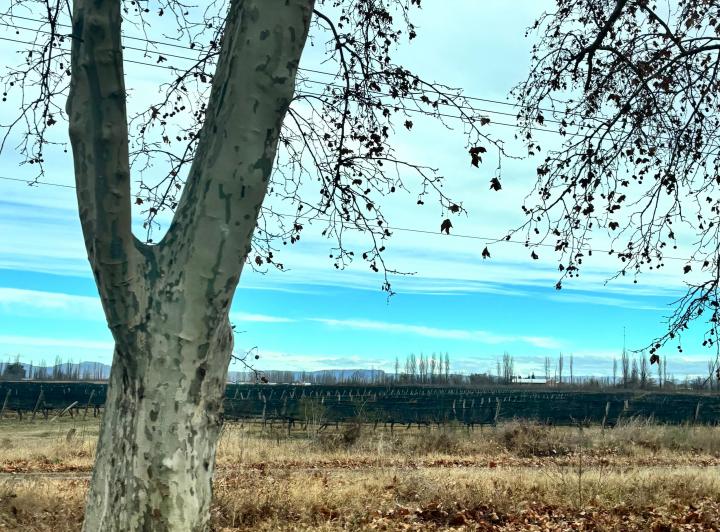 Terreno · 1500000m² · 3 Ambientes · 1 Cochera