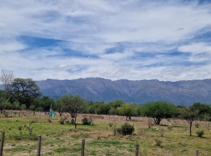 Terreno · 2800m²