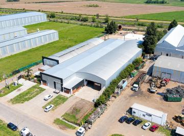 Bodega-Galpón · 1650m² · Nave Industrial en Alquiler - Pia
