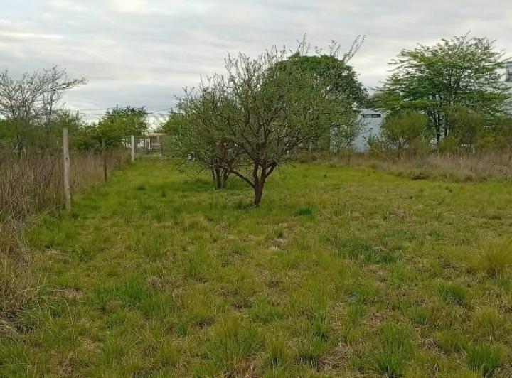Terreno · 428m²