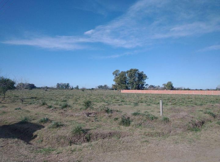Terreno · 1028m²