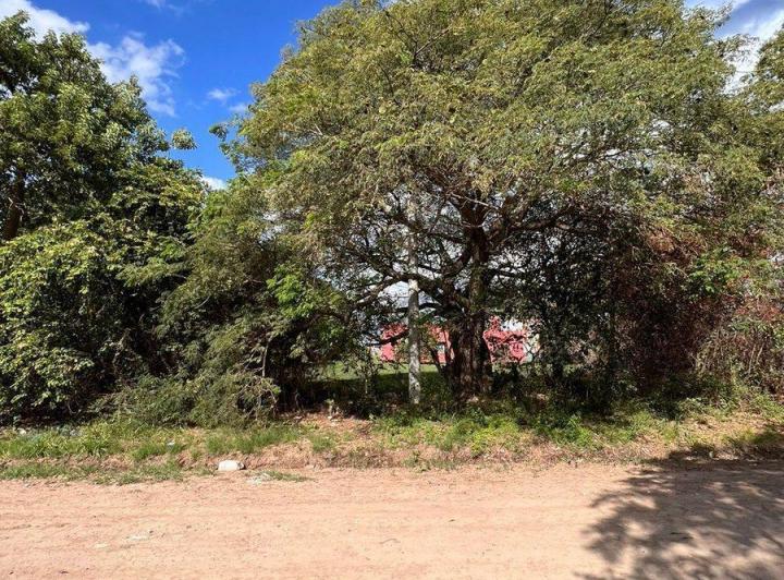 Terreno · 444m²