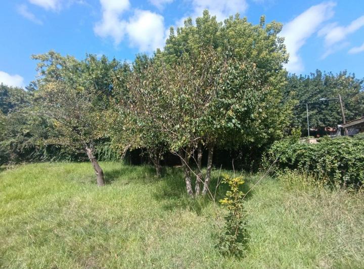 Terreno · 647m²