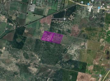 Campo · 40ha · Venta de 40 Ha Agricolas en Santo Tome